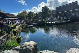 Private Tagestour zum Fuji ab Tokio (individuell anpassbar)