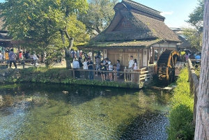 Private Tagestour zum Fuji ab Tokio (individuell anpassbar)