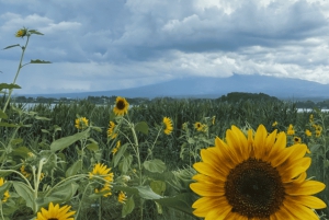 Private Tagestour zum Fuji ab Tokio (individuell anpassbar)