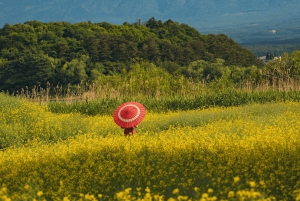 Private Tagestour zum Fuji ab Tokio (individuell anpassbar)