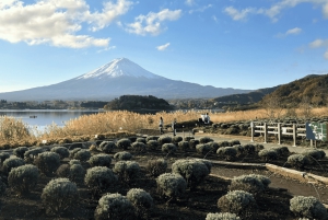 Private Tagestour zum Fuji ab Tokio (individuell anpassbar)