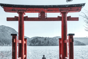 Private Tagestour zum Fuji ab Tokio (individuell anpassbar)