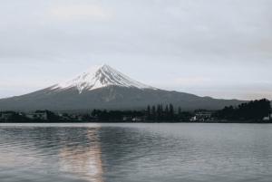 Private Tagestour zum Fuji ab Tokio (individuell anpassbar)