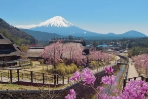 Mount Fuji Full Day Tour:Majestic Views and Cultural Wonders