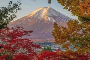 Mount Fuji Full Day Tour:Majestic Views and Cultural Wonders