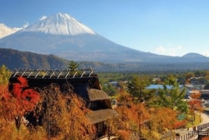 Mount Fuji Full Day Tour:Majestic Views and Cultural Wonders