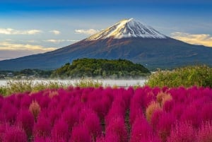 Mount Fuji Full Day Tour:Majestic Views and Cultural Wonders