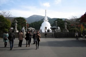 Fuji-fjellet: Heldagstur med privat varebil