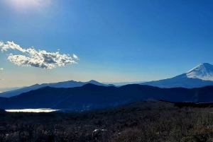 Mount Fuji & Hakone Full-Day Private Tour (Customizable)