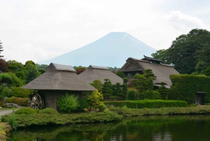 Полный день экскурсии по живописным местам горы Фудзи