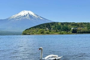 Полный день экскурсии по живописным местам горы Фудзи