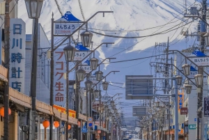 Полный день экскурсии по живописным местам горы Фудзи