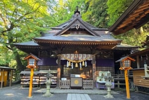 Полный день экскурсии по живописным местам горы Фудзи