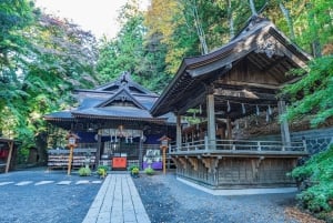 Полный день экскурсии по живописным местам горы Фудзи