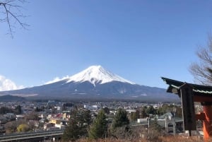 Полный день экскурсии по живописным местам горы Фудзи
