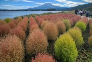 Tóquio: Monte Fuji Tour de 1 dia, personalizável e acessível, em privado