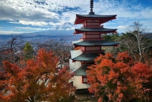 Tóquio: Monte Fuji Tour de 1 dia, personalizável e acessível, em privado