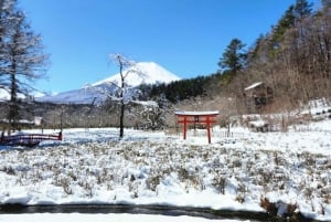 Tóquio: Monte Fuji Tour de 1 dia, personalizável e acessível, em privado