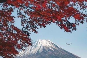 Mount Fuji 5th Station & Fuji Five Lakes Private Day Trip