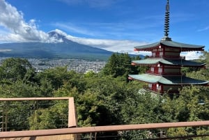 Mount Fuji 5th Station & Fuji Five Lakes Private Day Trip