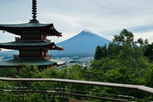 Tokio: prywatna wycieczka na górę Fuji i do Hakone z angielskojęzycznym kierowcą