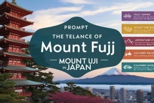 Tokio: prywatna wycieczka na górę Fuji i do Hakone z angielskojęzycznym kierowcą