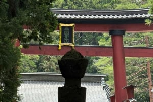 Tokio: prywatna wycieczka na górę Fuji i do Hakone z angielskojęzycznym kierowcą