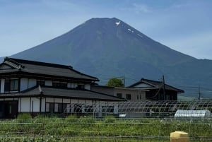 Tokio: prywatna wycieczka na górę Fuji i do Hakone z angielskojęzycznym kierowcą