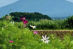 Tokio: prywatna wycieczka na górę Fuji i do Hakone z angielskojęzycznym kierowcą