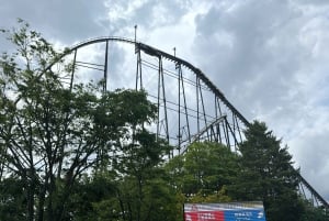 Tokio: prywatna wycieczka na górę Fuji i do Hakone z angielskojęzycznym kierowcą