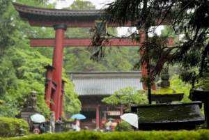 Tokio: prywatna wycieczka na górę Fuji i do Hakone z angielskojęzycznym kierowcą