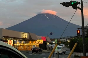 Tokio: prywatna wycieczka na górę Fuji i do Hakone z angielskojęzycznym kierowcą