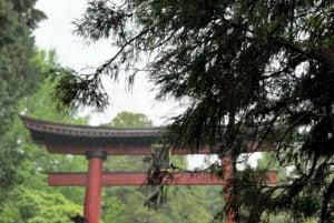 Tokio: prywatna wycieczka na górę Fuji i do Hakone z angielskojęzycznym kierowcą