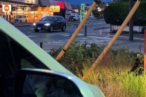 Tokio: prywatna wycieczka na górę Fuji i do Hakone z angielskojęzycznym kierowcą