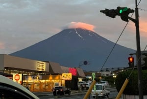 Tokio: prywatna wycieczka na górę Fuji i do Hakone z angielskojęzycznym kierowcą