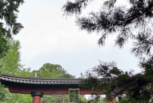 Tokio: prywatna wycieczka na górę Fuji i do Hakone z angielskojęzycznym kierowcą