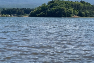 Tokio: prywatna wycieczka na górę Fuji i do Hakone z angielskojęzycznym kierowcą