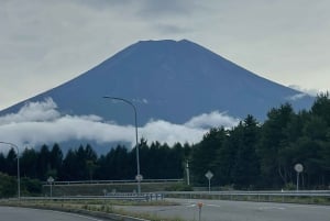 Tokio: prywatna wycieczka na górę Fuji i do Hakone z angielskojęzycznym kierowcą