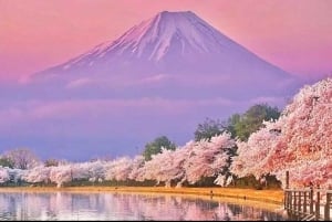 Tokio: prywatna wycieczka na górę Fuji i do Hakone z angielskojęzycznym kierowcą