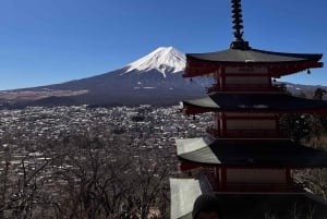 Da Tokyo: tour privato di un giorno al Monte Fuji con guida in inglese