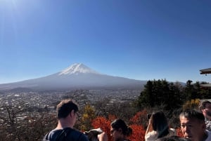 Da Tokyo: tour privato di un giorno al Monte Fuji con guida in inglese