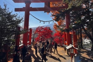 Da Tokyo: tour privato di un giorno al Monte Fuji con guida in inglese