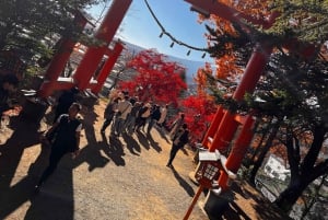 Da Tokyo: tour privato di un giorno al Monte Fuji con guida in inglese