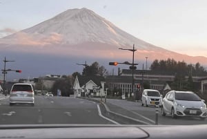 Da Tokyo: tour privato di un giorno al Monte Fuji con guida in inglese
