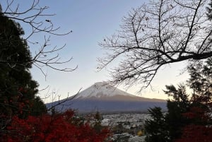 Da Tokyo: tour privato di un giorno al Monte Fuji con guida in inglese