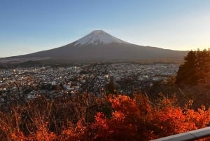 Da Tokyo: tour privato di un giorno al Monte Fuji con guida in inglese