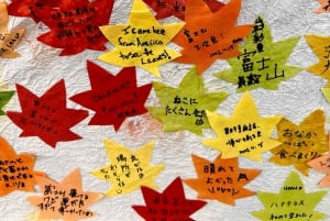 Da Tokyo: tour privato di un giorno al Monte Fuji con guida in inglese