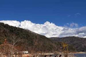 Da Tokyo: tour privato di un giorno al Monte Fuji con guida in inglese