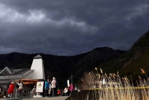 Da Tokyo: tour privato di un giorno al Monte Fuji con guida in inglese