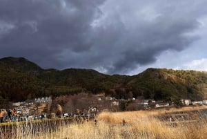 Da Tokyo: tour privato di un giorno al Monte Fuji con guida in inglese